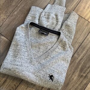 Express Men's V-Neck Sweater in Light Gray